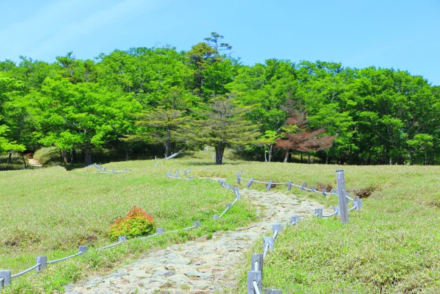 初夏の大台ケ原