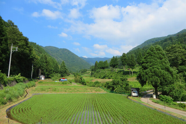 夏を迎える山里 6