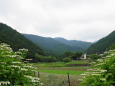 梅雨の里山