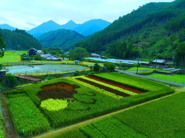 初夏の里山