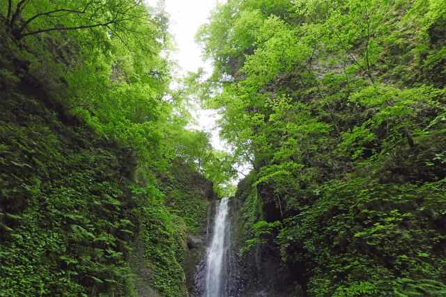 深山 滝と緑