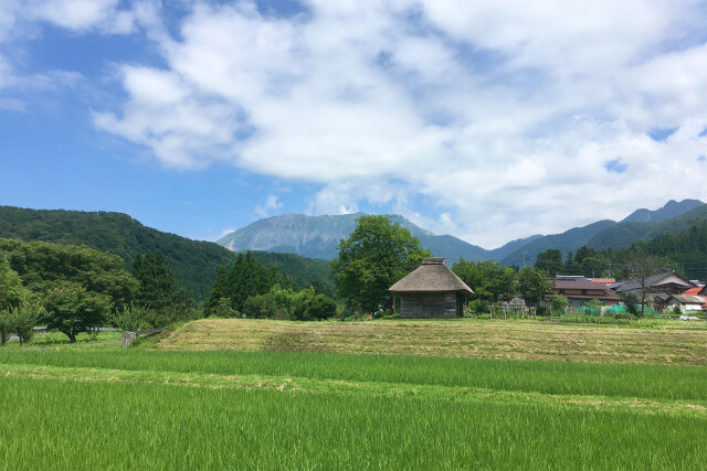 大山 初夏