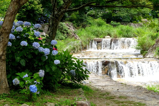 滝流水の遊歩道