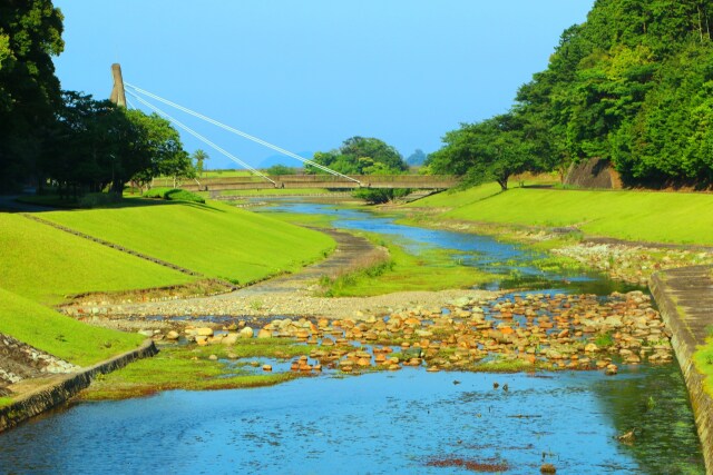 初夏の水辺