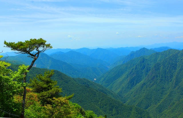 初夏の紀伊山地