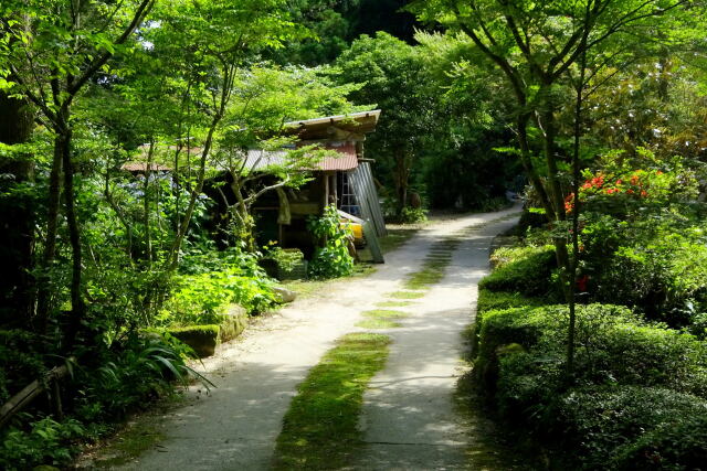 山間集落を辿る道