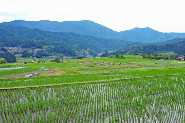 夏を迎える山里 8