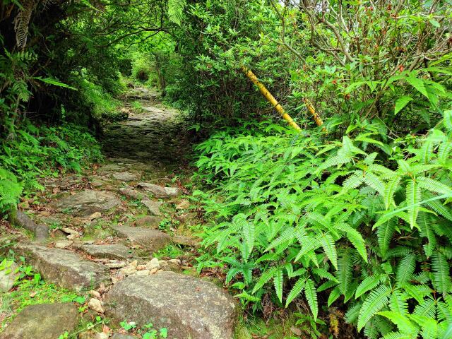 夏の熊野古道