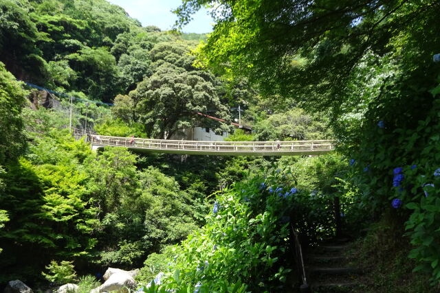 見帰りの滝が見える橋