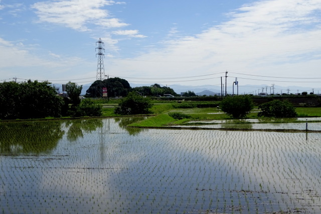 梅雨の季節