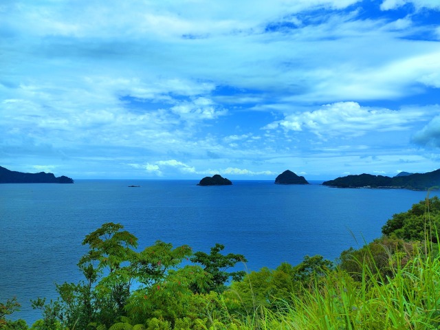 夏の海