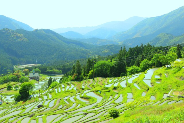 丸山千枚田