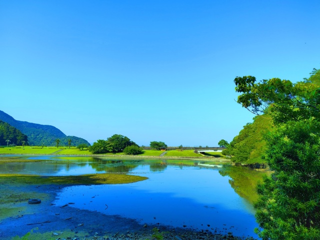 夏の水辺