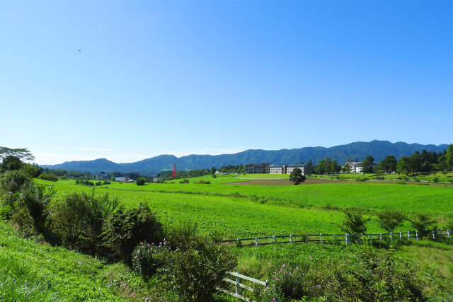 蒜山高原 夏 牧場