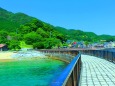 夏の海