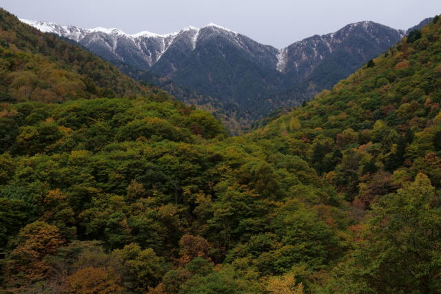 初雪蝶ヶ岳