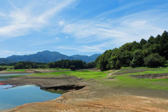 大山池 夏 2