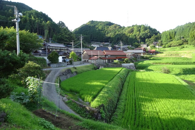 梅雨明けの山村集落