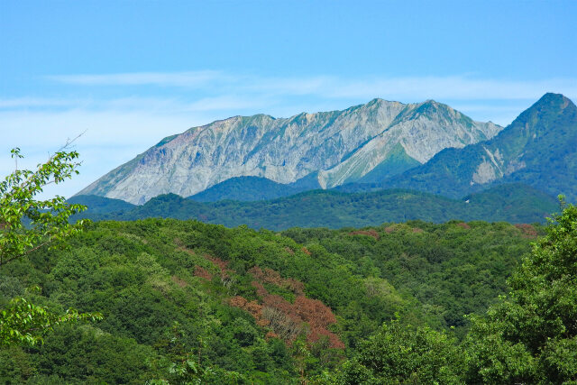 大山 南壁 夏