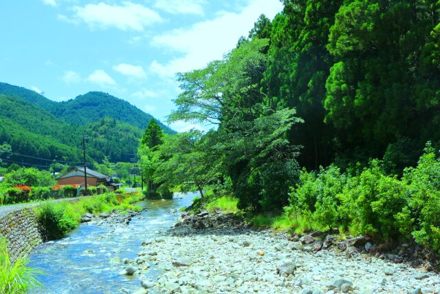 夏の清流