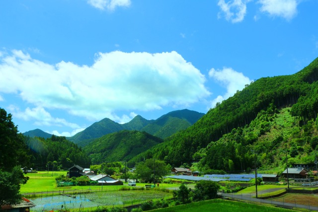 夏の里山