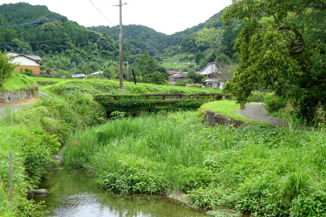 緑の山里