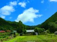 夏の里山