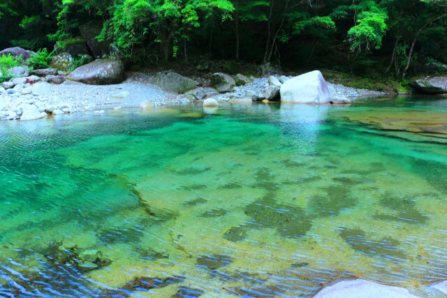 魚飛渓谷