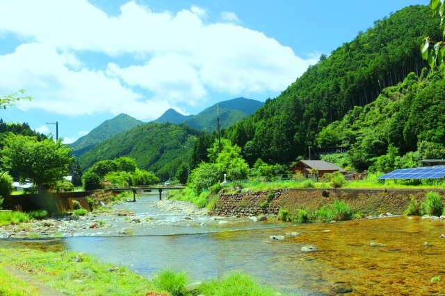 夏の里山