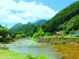 夏の里山