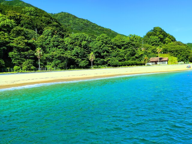 夏の海