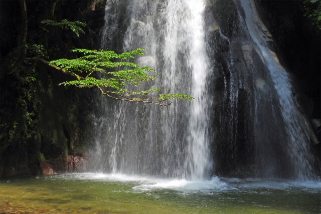 滝 夏 涼 10