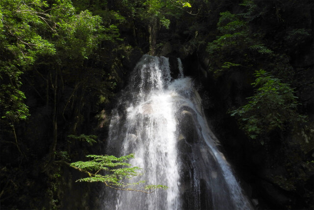 滝 夏 涼 12