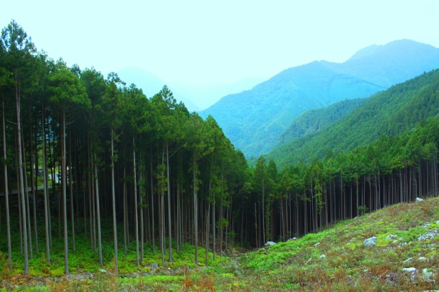 紀伊山地