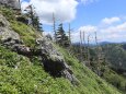 登山道からの景色