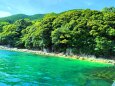 夏の海