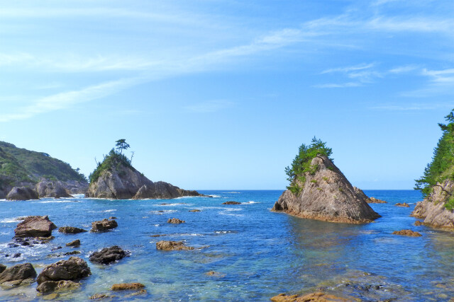 山陰海岸 夏 岩と松 3