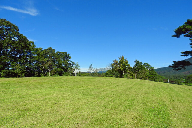 蒜山高原 夏 大山を望む公園