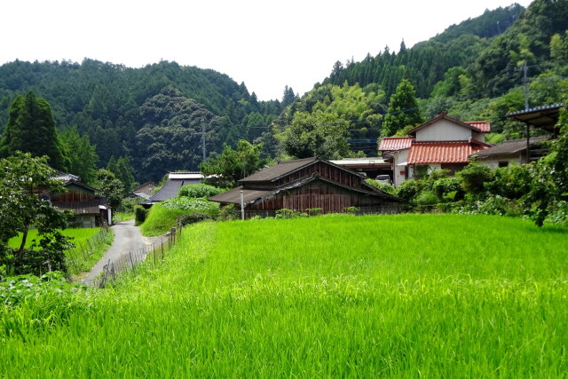 盛夏の山村集落