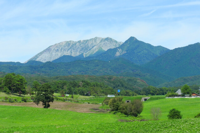 蒜山高原 夏 牧場と大山