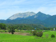 蒜山高原 夏 牧場と大山