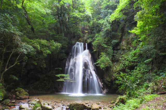 滝 夏 涼 15