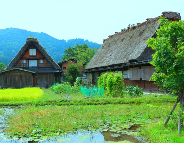 白川郷