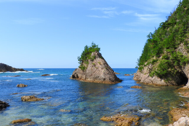 山陰海岸 夏 岩と松 6