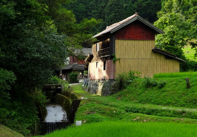 夕暮れ近くの山間部