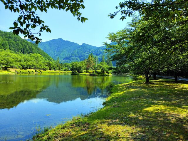 夏の水辺