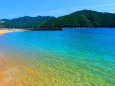 夏の海