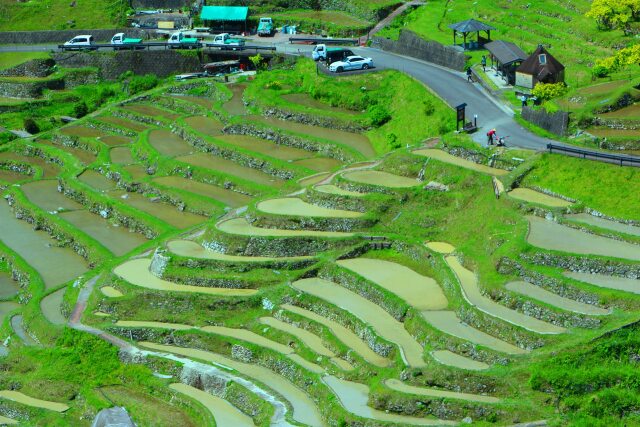 丸山千枚田