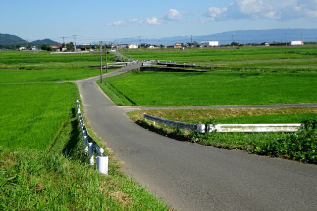 田舎道