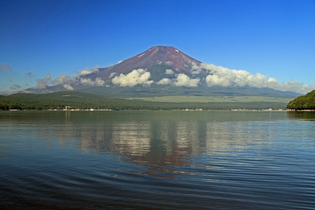 夏の富士山